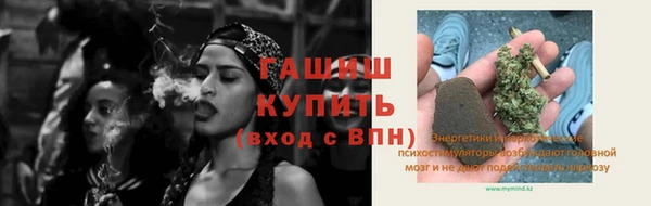 стаф Волоколамск