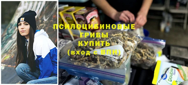 a pvp Володарск