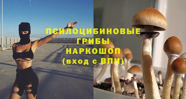 a pvp Володарск